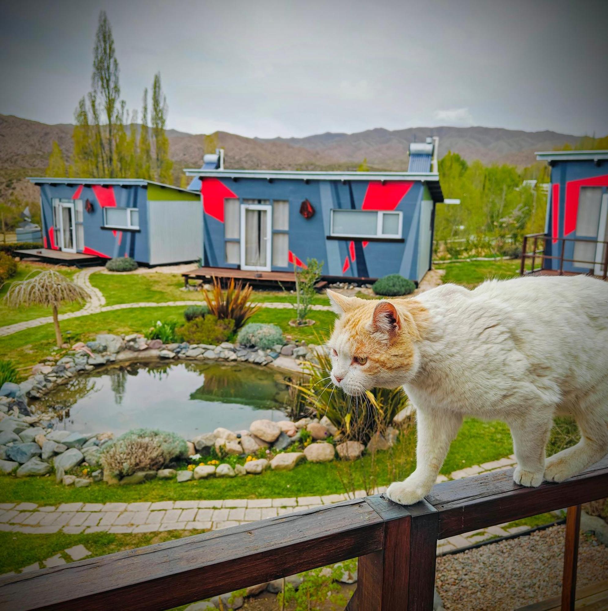 Villa Casa Faro Arte Potrerillos Esterno foto