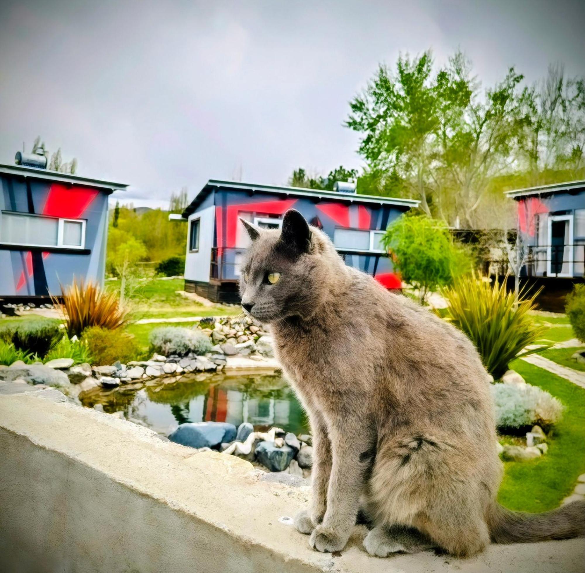 Villa Casa Faro Arte Potrerillos Esterno foto